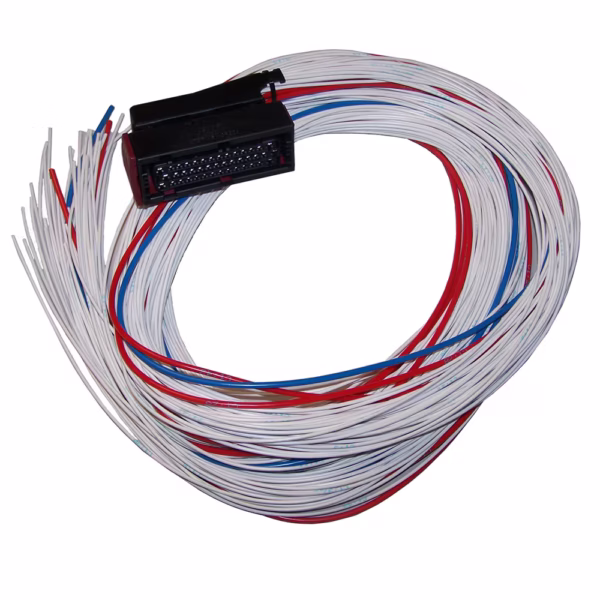 Accessory 1 - Image 2